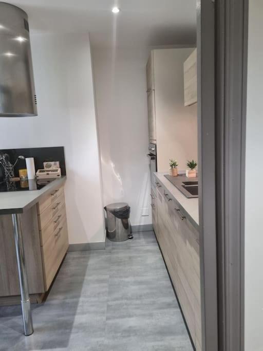 L'Ourse, Epinal,Tres Bel Appartement Quartier Port エクステリア 写真