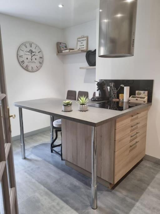 L'Ourse, Epinal,Tres Bel Appartement Quartier Port エクステリア 写真