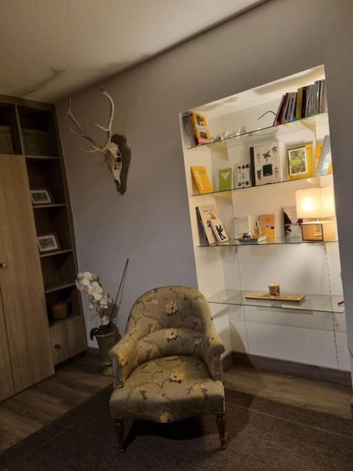 L'Ourse, Epinal,Tres Bel Appartement Quartier Port エクステリア 写真